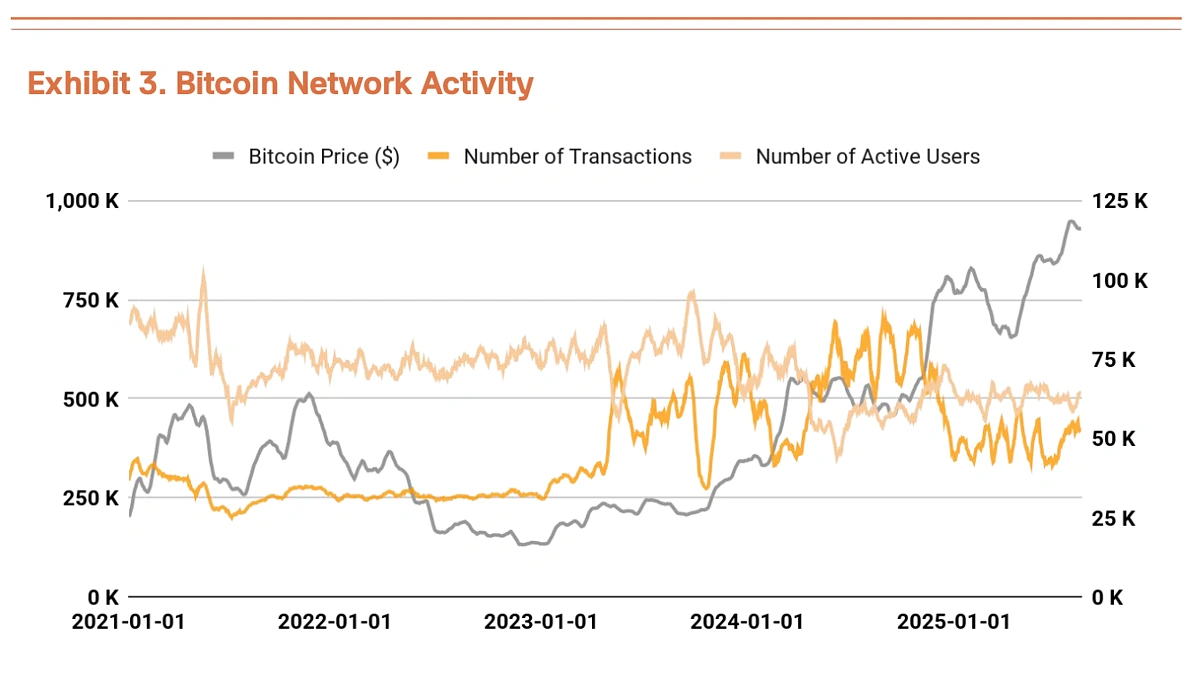 Exhibit 3. Bitcoin Network Activity