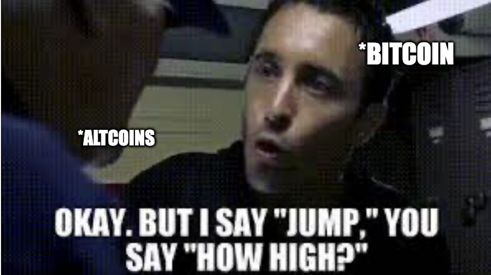 Bitcoin and altcoins meme