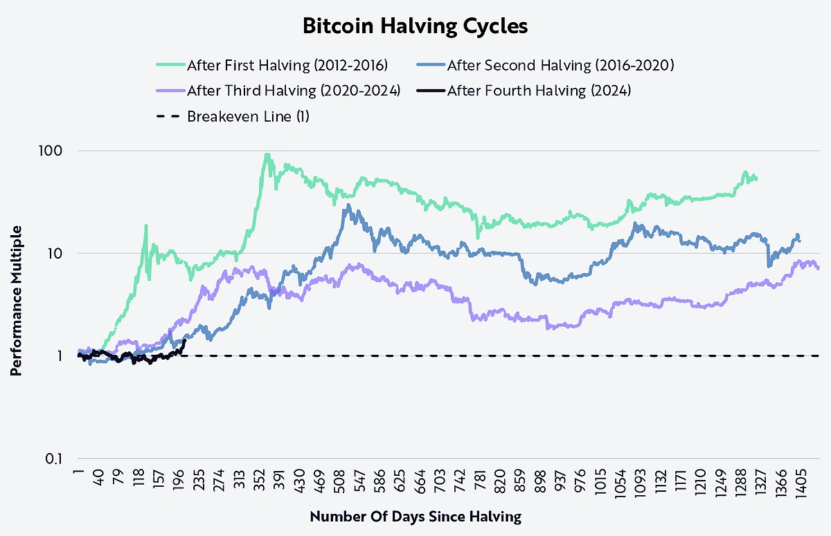Bitcoin Halving Cycles Price chart