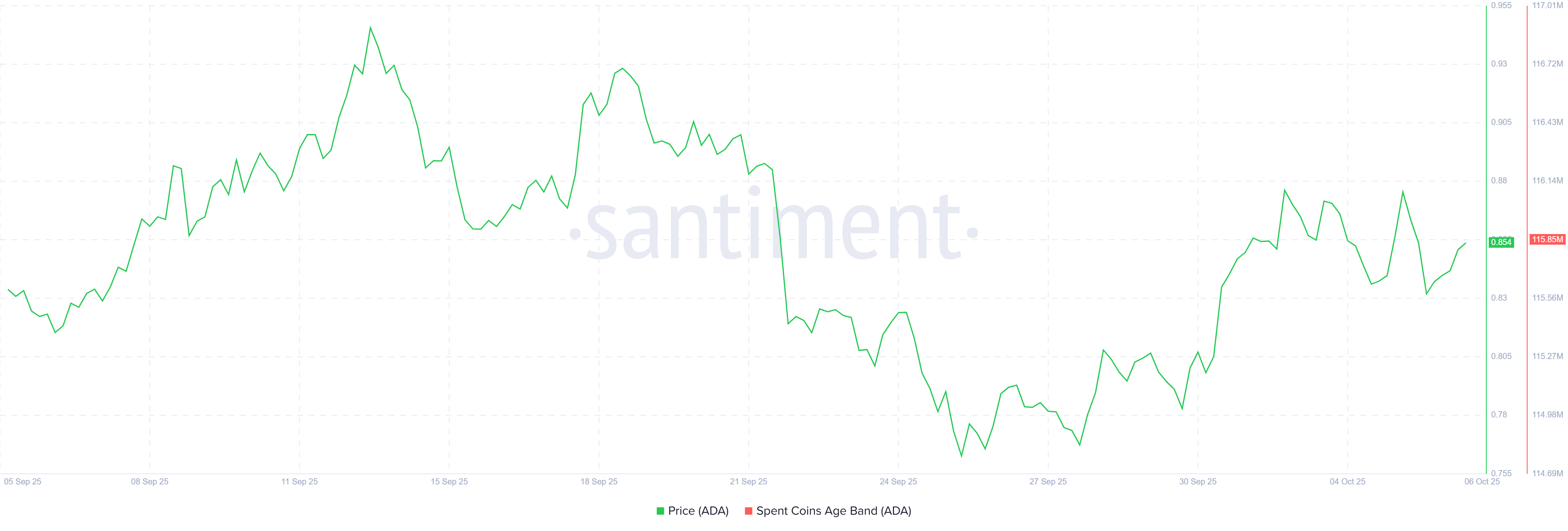 Cardano (ADA) whale accumulation